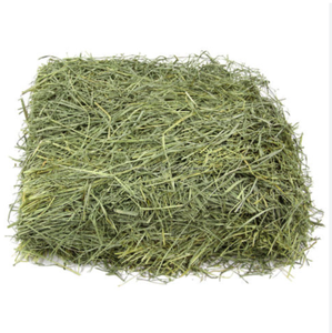 Alfalfa Fresca en Empaque a Granel para Alimentación de Ganado Vacuno, Porcino y Equino - Product Image 6