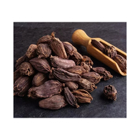 Cardamome noire de haute qualité à vendre, idéale pour la cuisine et les détaillants d'épices