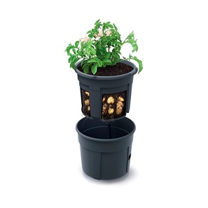 Prosperplast Potato Grower, vaso per la coltivazione di patate in plastica, colore antracite, 39,2 (lunghezza) x 39,2 (larghezza) x 31,6 (altezza) cm - Product Image 2