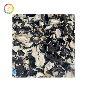 Champignon d'oreille de nuage abordable avec une qualité et une fiabilité exceptionnelles, parfait pour toutes les utilisations - Product Image 4