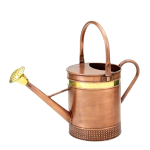 Arrosoir durable résistant à la rouille facile à utiliser Design moderne pour les plantes d'intérieur et d'extérieur Pépinière domestique pour le jardinage - Product Image 4