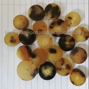 "Ébauches de boutons en corne naturelle Technique unique écologique Costumes de style animal Vestes et vêtements FWE" - Product Image 2