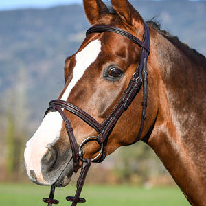 COLECCIÓN DRESSAGE PLANOS PIEL BIELA GRANDE NOSEBAND BRIDLE CON FLASH - Product Image 1