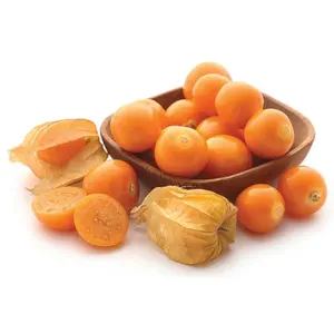 Proveedores indios 100% Bayas doradas puras y orgánicas a granel Proveedores de cerezas de invierno de color naranja al mejor precio