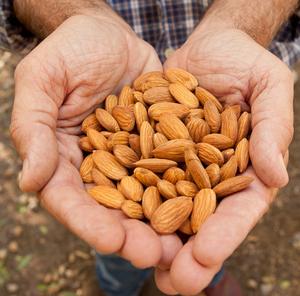 Prix bas, meilleure qualité, noix 100% naturelles de qualité supérieure, amandes non salées, noix de cajou et amandes, collation en prix de gros - Product Image 1