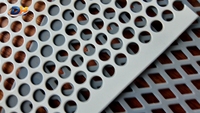 Lámina de Metal Perforada de Acero Inoxidable 304, Placa Perforada Resistente a la Corrosión para Equipos Industriales, Espesor de 1 mm a 4 mm