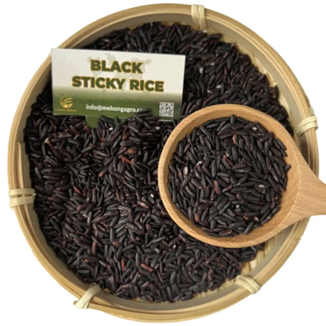 Riso glutinoso nero (Nep Than) alta qualità prodotto da South Mekong Rice Miller Whatsapp + 84786436556