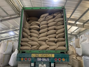 Grains de café Arabica Robusta Verts du Vietnam S13 S14 S16 S18 – Meilleur exportateur B2B, Vente en gros, Petites commandes, Faible MOQ, Meilleur prix - Product Image 6