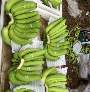 Plátano Cavendish Fresco de Vietnam Producido con Fruta Seleccionada a Mano para Venta al por Menor, Servicio de Alimentos y Distribución Global - Product Image 1