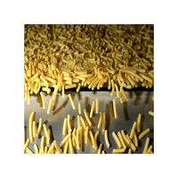 Macaroni Brésilien de Haute Qualité 1kg Instantané Pur Naturel Faible en Gras Sans Gluten Boîte de Pâtes / Échantillons Gratuits
