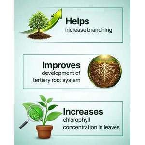GEOLIFE TAKAT Bio/Organic Biostimulant liquide avec extraits d'algues et nanotechnologie en emballage plastique - Product Image 3
