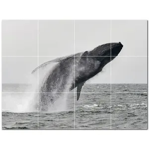 ภาพจิตรกรรมฝาผนังกระเบื้องเซรามิกวาฬ PT501188 17 \ "W x 12.75 \" H ชุดละ12 4.25กระเบื้อง - Product Image 1