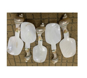 Cuillère de luxe en nacre pour le caviar exquis, les desserts et les besoins de service gastronomique - Product Image 2