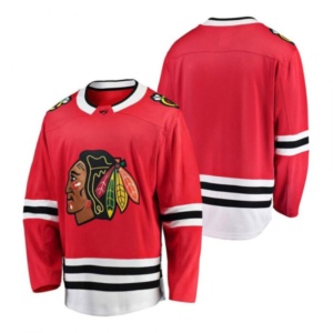 Jersey de Hockey sobre Hielo de Poliéster de Alta Calidad al por Mayor, Nuevo Diseño, Impresión por Sublimación, Logotipo Personalizado, Jersey de Hockey sobre Hielo para Hombre - Product Image 2