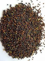 เมล็ดยี่หร่าดำ เครื่องเทศออร์แกนิกธรรมชาติ สำหรับปรุงอาหารและเพื่อสุขภาพ - Product Image 5