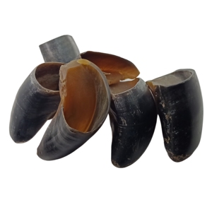 Best Seller Noshahi Horn Enliven Overseas Premium Quality Water Buffalo Hooves Dog Chews High Protein Pet Food - Product Image 2