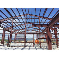 Abri de stockage extérieur en acier léger et portable avec structure métallique