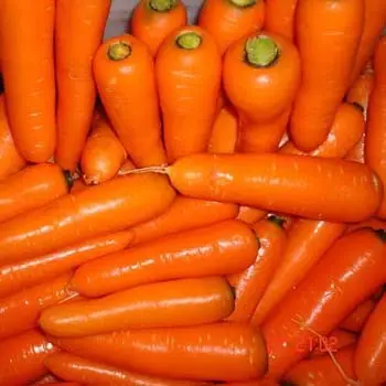 100% vendita calda naturale all'ingrosso imballaggio fresco egiziano carota arancione colore <span class=keywords><strong>BRC</strong></span>