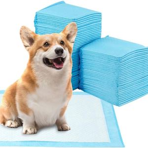 Tapis d'apprentissage pour animaux de compagnie biodégradables 60*60, entièrement absorbants, jetables, vente en gros - Product Image 1
