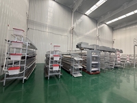 Système de cages à volailles avec ligne d'alimentation automatique, ligne d'abreuvement et système de collecte des œufs