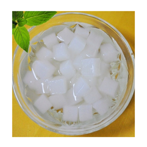 Nata de COCO จากเวียดนามผู้จัดจำหน่ายที่เชื่อถือได้สำหรับการจัดจำหน่ายทั่วโลก - Product Image 1