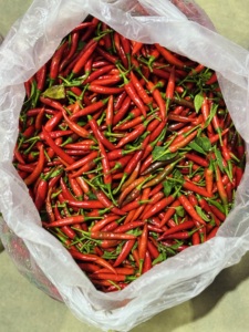 ผู้จัดจำหน่ายพริกสดคุณภาพดีจากเวียดนาม พริกตาไก่แดงไทย 30 กก./แพ็ค จัดส่งจำนวนมากรวดเร็ว - Product Image 5