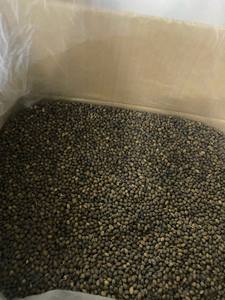 ผงเมล็ดมะละกอช่วยล้างพิษตับ - Product Image 2