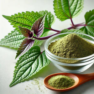 Polvo de extracto de hoja de perilla al mejor precio con polvo de perilla puro de grado premium a la venta - Product Image 1