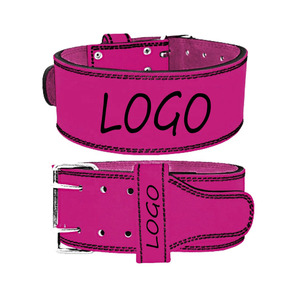 Notas de levantamiento de pesas que abarcan la intención de fuerza, la precisión del movimiento, la planificación de la recuperación y la repetición constante. - Product Image 6