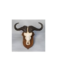 Décoration murale en corne de buffle, taille personnalisée, décoration de table, décoration murale en corne de buffle à prix avantageux