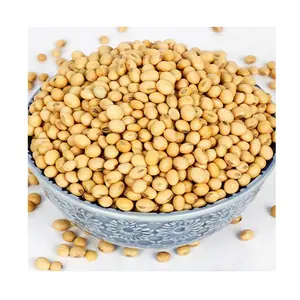 Kacang kedelai Non GMO kualitas tinggi kacang kedelai/Kacang kedelai untuk dijual