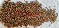 Terminalia Chebula Gele Bulk Leverancier-Apex Merk 24 Maanden Houdbaarheid Uit Rajasthan India Droge & Koele Opslag