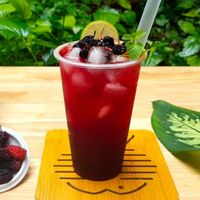 Heetverkopende premium zwarte moerbeienjam, natuurlijk verwerkt, 2,1 kg blik uit Vietnam, in fles verpakt