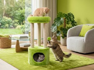 Torre para Gatos Atlanta Spring Meadow con Espíritu Juguetón - Product Image 4
