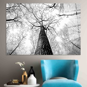 Arte Impreso en Lienzo: Decoración de Pared con Diseño de Bosque, Decoración Elegante para Casa de Campo, Arte en Vidrio Templado - Product Image 1