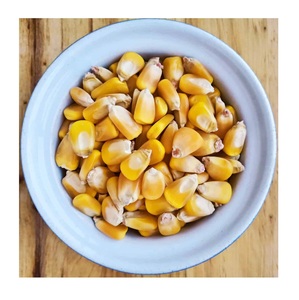 Maïs jaune sans OGM le plus vendu/maïs jaune et maïs blanc/maïs jaune séché à l'air à vendre - Product Image 2