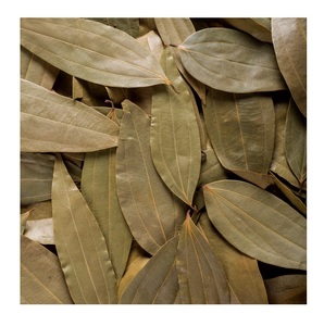 ใบอบเชยอบแห้งคุณภาพสูงสำหรับเครื่องเทศและกลิ่นหอม - Product Image 6