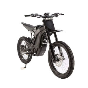 Nueva Bicicleta Eléctrica para Adultos E Ride PRO-SS 3.0 (19"/18") Más Vendida, con Garantía de 3 Años, Lista para Exportación - Product Image 1