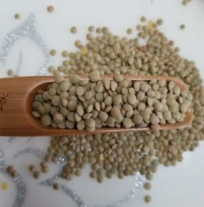 ถั่วเลนทิลแดงทั้งตัวและแยกมีจําหน่ายคุณภาพดีที่สุด - ถั่วเลนทิลสีเขียวแคนาดา - Product Image 3