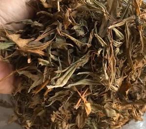 ใบโพลีสเซียสแห้งเกรดส่งออก วัตถุดิบสมุนไพรธรรมชาติสำหรับชาและผลิตภัณฑ์เพื่อสุขภาพ - Product Image 6