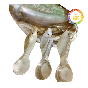 Cuillère en nacre Surface lisse sans danger pour l'utilisation alimentaire et la décoration - Product Image 6