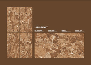 กระเบื้องพอร์ซเลนมันวาวขนาด60x120ซม. คอลเลกชันการออกแบบที่ทันสมัยทนทานและกันน้ำสำหรับในร่มและกลางแจ้ง - Product Image 6