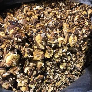 Top Triending seller Dried Shiitake mushroom from Vietnam with highest quality and cheap price