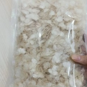 ESCALAS DE PESCADO CRUDO SECAS DE VIETNAM | MEJOR CALIDAD PARA APLICACIONES INDUSTRIALES - Product Image 1