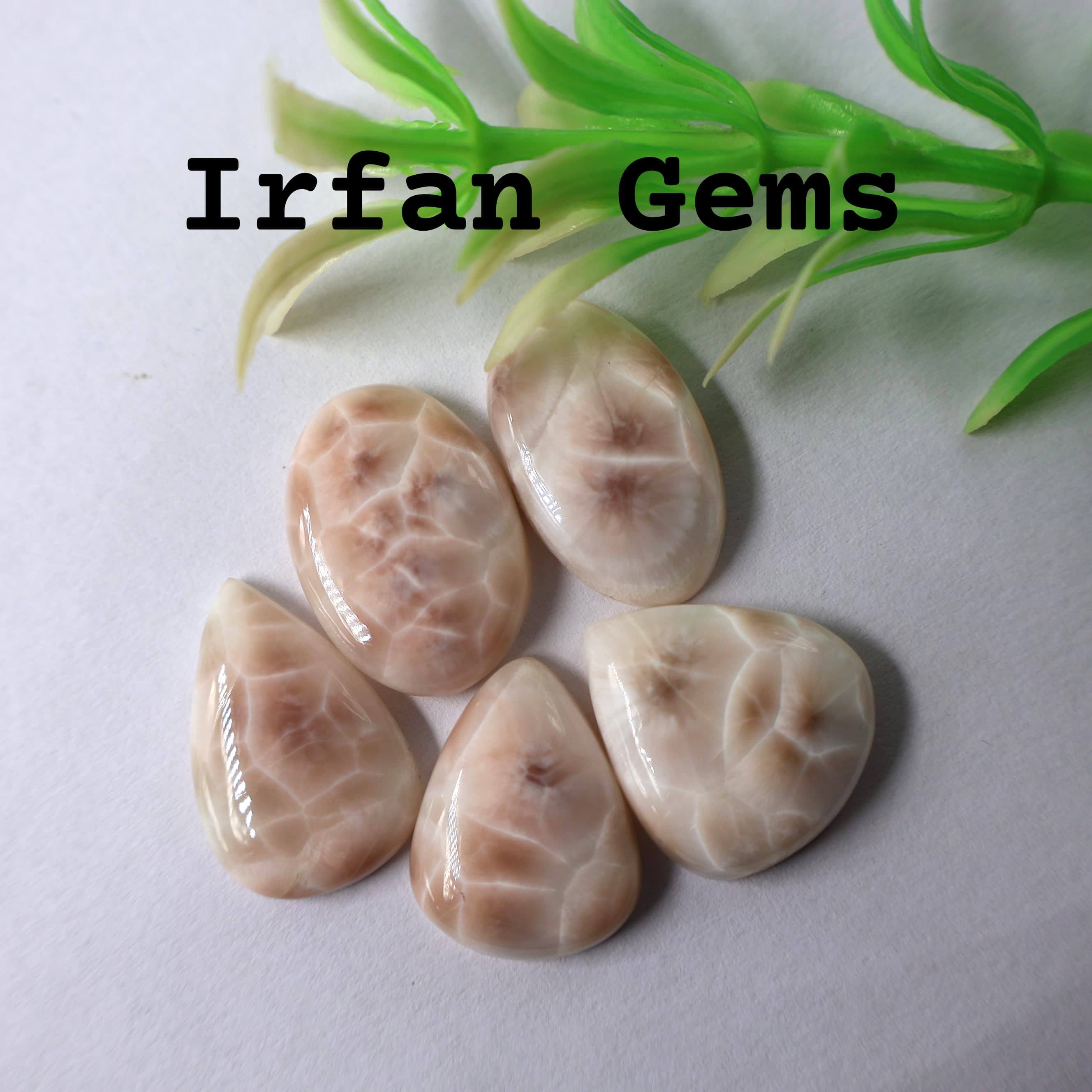 เห็นเป็นภาพ