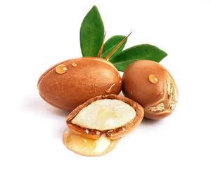 Aceite de Argán Marroquí Orgánico Premium para el Tratamiento del Cabello, con Romero y Coco, Prensado en Frío, Enriquecido con Vitamina E Natural y Antioxidantes, Acción Profunda - Product Image 1