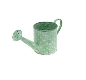New Arrival Hot Selling Metal <b>Galvanized</b> Water <b>Cans</b> for Garden Decoration at <b>Wholesale</b> Price From India - Product Image 5