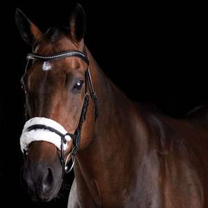 Bride en peau de mouton personnalisée fabricants de brides de cheval en cuir véritable vendant des chevaux en cuir véritable - Product Image 3