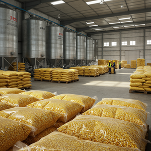 Stock de maïs jaune séché frais disponible en vrac maïs jaune biologique pour l'alimentation de ferme animale sans additifs nocifs - Product Image 2