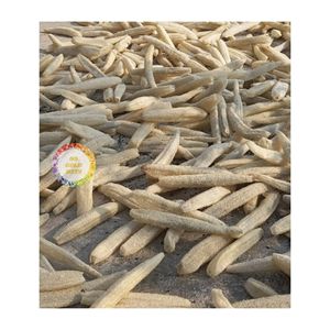 ฟองน้ำใยบวบธรรมชาติแบบเวียดนามผลิตภัณฑ์ย่อยสลายได้อย่างยั่งยืนเป็นมิตรต่อสิ่งแวดล้อมสำหรับสปาอาบน้ำและทำความสะอาดในครัวเรือน - Product Image 3